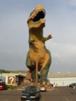DSCN0479.JPG