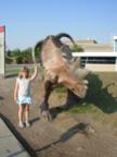 DSCN0485.JPG