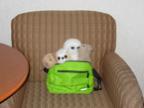 DSCN0072.JPG