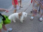 DSCN0082.JPG