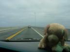 DSCN0108.JPG