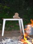 DSCN0310.JPG