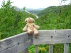 DSCN0360.JPG
