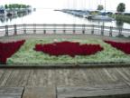 DSCN0370.JPG