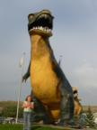 DSCN0483.JPG