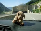 DSCN0566.JPG
