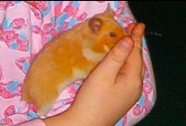IM000420.JPG
