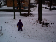 IM000389.JPG